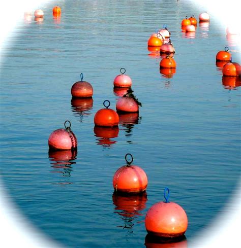 In a Sea of Buoys | HubPages