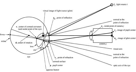6 Schematic Representations Of The Human Eye Light Source Camera And