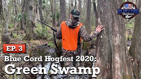 Trying To Find Hogs In Green Swamp Wma Florida Youtube