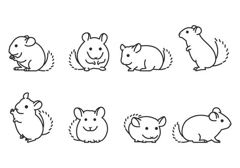 Chinchilla Pets Icons In Flat Line Chinchilla Chinchilla Cute