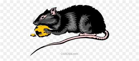 Rat Royalty Free Vector Clip Art Illustration Rat Clipart Stunning