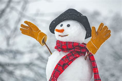 Happy Funny Snowman In The Snow Snow Man In Winter Hat Snowman