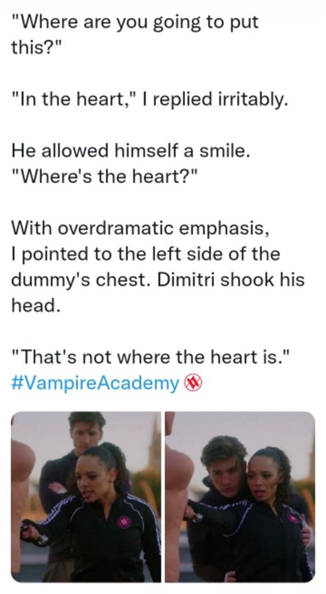Vampire Academy Dimitri Vampire Academy Books Christian Ozera