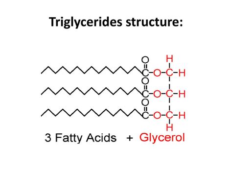 Triglyceride Structure