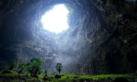 Watch Giant 630 Foot Deep Sinkhole With Lush Ancient Forest Discovered