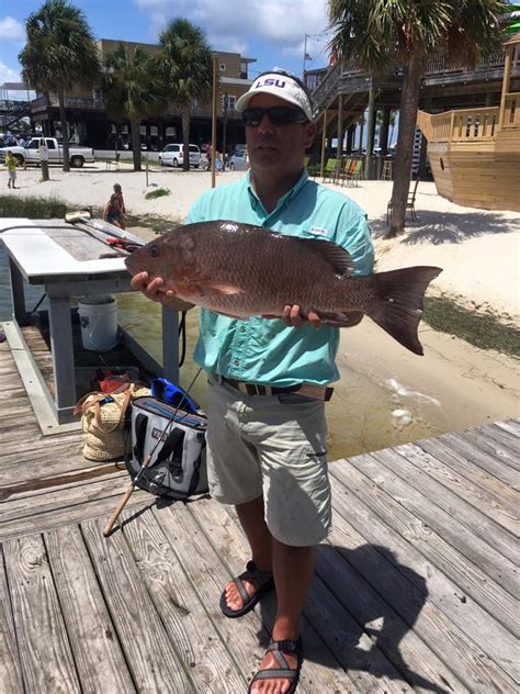 Reports Archives Page 3 Of 3 Pensacola Fishing