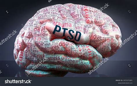 Ptsd Human Brain Hundreds Crucial Terms Stock Illustration 2073271901 Shutterstock