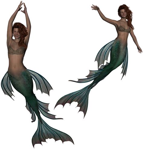 Siren Mermaid Png Clipart Full Size Clipart 3701953 Pinclipart
