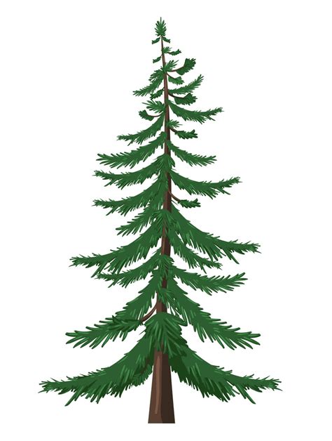 Pine Tree Clipart Free 2 Clipart World