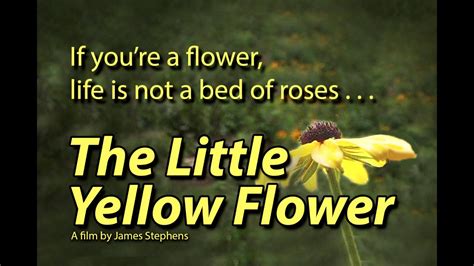 The Little Yellow Flower Youtube