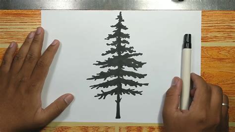 How To Draw Pine Tree Silhouette Step By Step Youtube