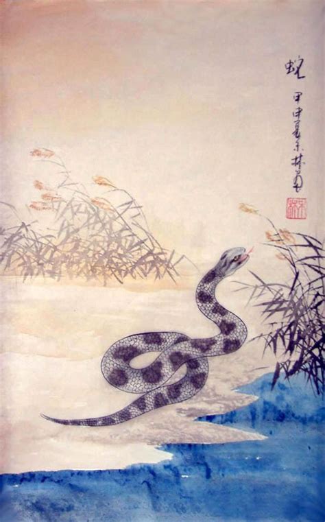 Chinese Snake Painting 4349001 43cm X 65cm17〃 X 26〃