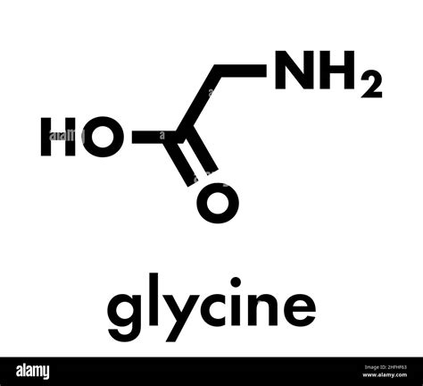 Glycine Gly G Amino Acid Molecule Skeletal Formula Stock Vector Image And Art Alamy