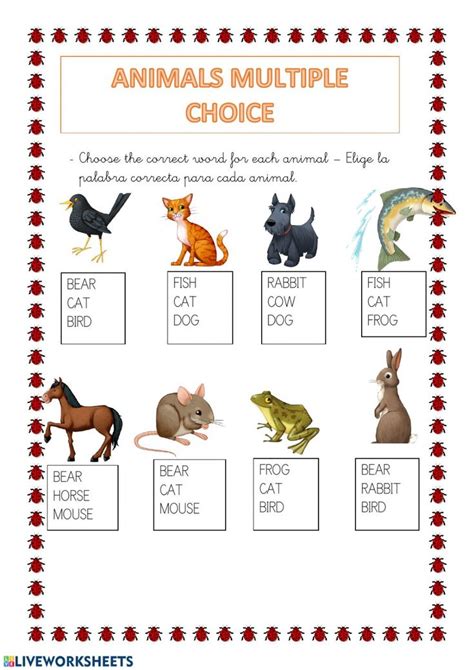 Animals Multiple Choice Worksheet Sight Word Flashcards Animal