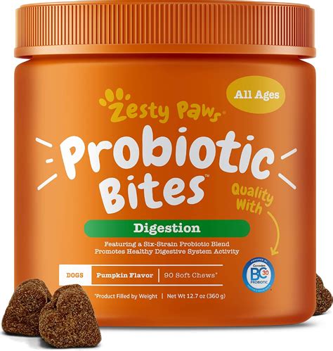 The Best Probiotics For Dogs Dogtime