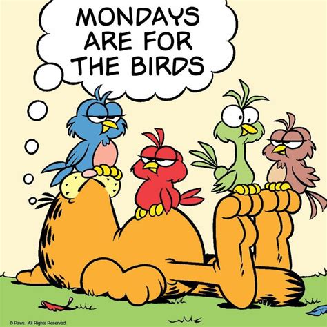 Mondays Are For The Birds Vultures Morning Quotes Funny Garfield Quotes Funny Good