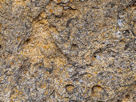 284 Texture Limestone Rock Holes Photos Free And Royalty Free Stock