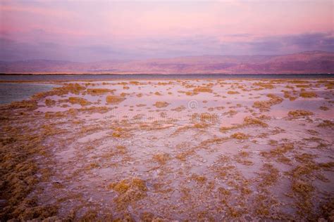 Sunset View Of Salt Formations In The Dead Sea Stock Image Image Of