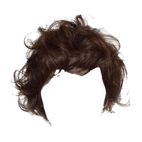 Download Hair Png Image For Free