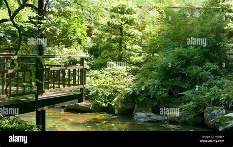 Japanese zen garden hi-res stock photography and images - Alamy