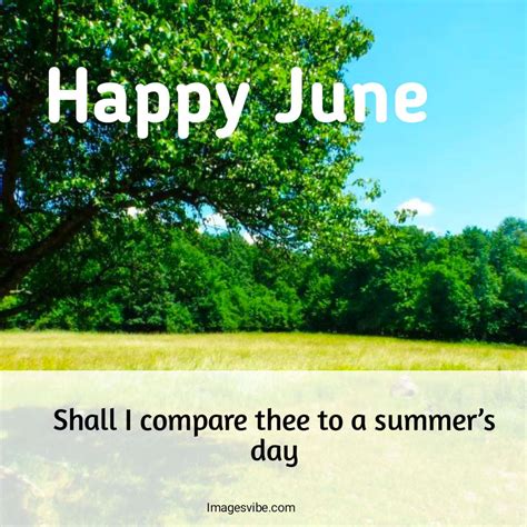Best 30 Happy June Quotes With Images And Messages In 2023 Images Vibe