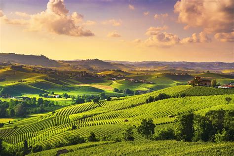 Wine Regions In Italy Scenery Cities And Signature Wines Kimkim