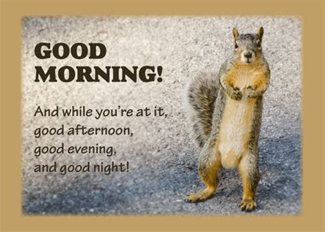 Maybe you would like to learn more about one of these? Good Morning Greetings Funny Squirrel. Free Good Morning ...