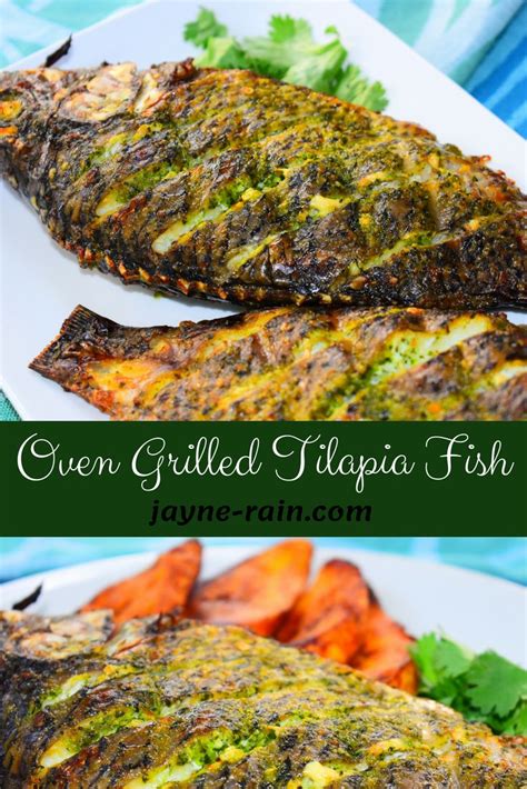 Oven Grilled Tilapia Fish Recipe Jayne Rain Recipe Grilled Fish