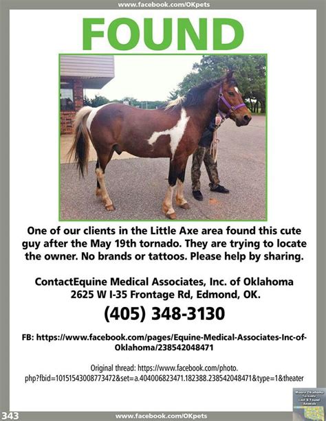 Moore Ok Tornado Found Horse Please Share All About Horses All