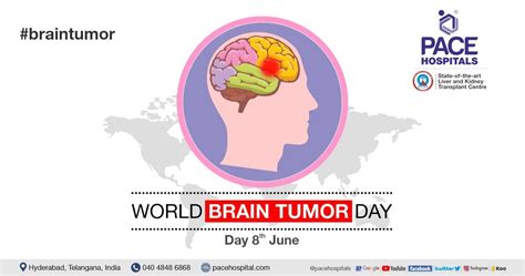 World Brain Tumor Day 8 June Theme And Importance