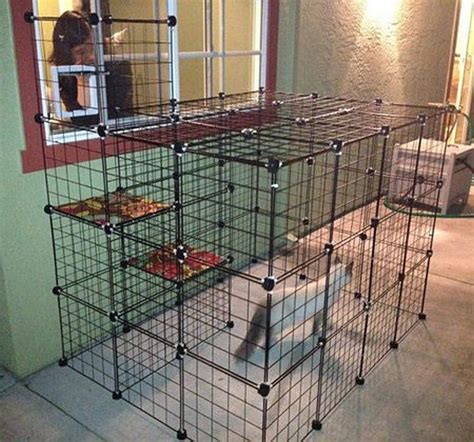 Ferret cage pet cage chinchilla cage rabbit cages cat pen cat cages indoor cat patio cat cages pets. How to build an outdoor cat run - DIY projects for everyone!