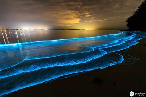 Best Time Of Year To See Bioluminescence In Maldives What Is The Best