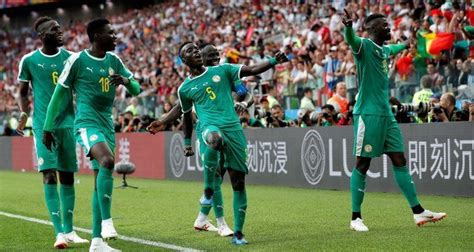 Aliou Cissé The Black Hero Who Is Leading Africas Only Hope At The