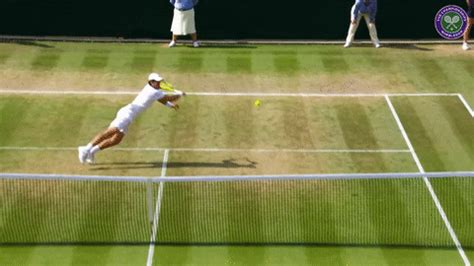 Find funny gifs, cute gifs, reaction gifs and more. Tennis Lol GIF by Wimbledon - Find & Share on GIPHY