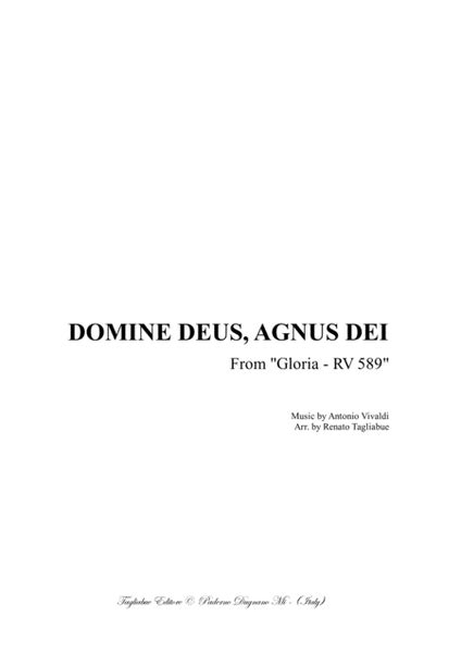 Domine Deus Agnus Dei Vivaldi From Gloria Rv 589 For Alto