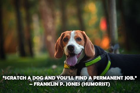 49 Best Dog Quotes Of All Time Funny Emotional And Cute