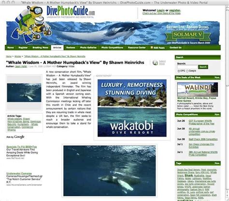 Dive Photo Guide Whale Wisdom Feature Blue Sphere Media