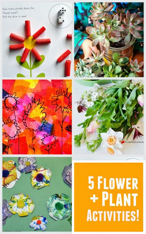5 Flower Plant Activities For Preschoolers Pink Stripey Socks