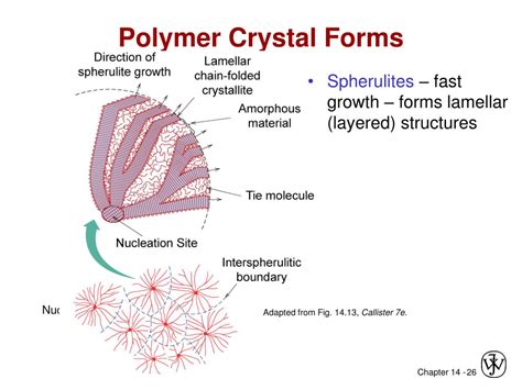 Ppt Chapter 14 Polymer Structures Powerpoint Presentation Free