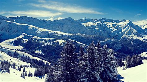 Winter Snow Landscape Mountain Forest 4k Ultra Hd Desktop