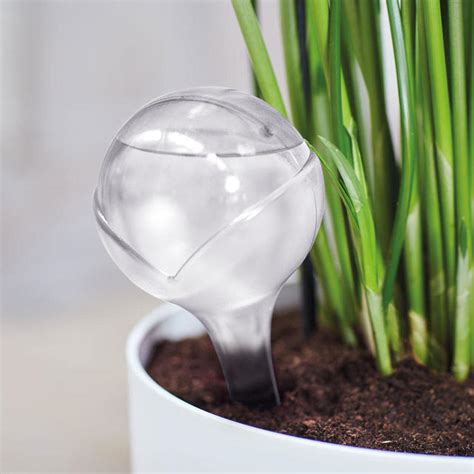 Buy Aqua Care Watering Globes — The Worm That Turned Revitalising