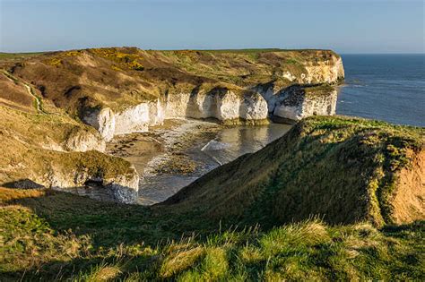 Best Flamborough Head Stock Photos Pictures And Royalty Free Images Istock