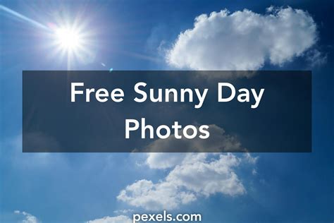 Free Stock Photos Of Sunny Day · Pexels