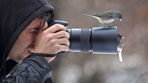 best cameras for wildlife photography 2022 the sharpest and fastest expert reviews