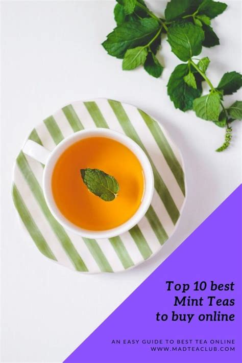 Where To Buy Best Peppermint Tea Online Top 10 Recommended Teas