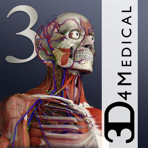 Zona Android Anatomia Esencial 3 Essential Anatomy 3