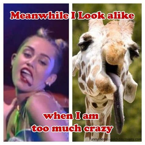 Meanwhile Crazy Miley Cyrus Look Alike Funny Cute Funny Pictures Funny