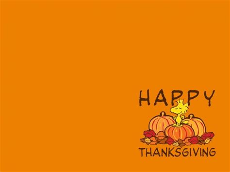 Free Download 21thanksgiving Wallpapers Backgrounds Images