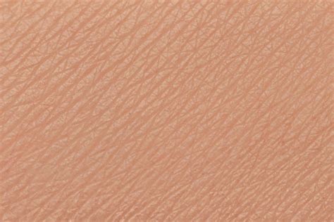 Human Skin Texture Images Browse 28949 Stock Photos Vectors And