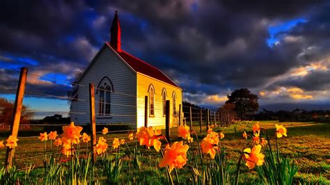Download Daffodil Flower Cloud Church Man Made Religious Chapel Hd